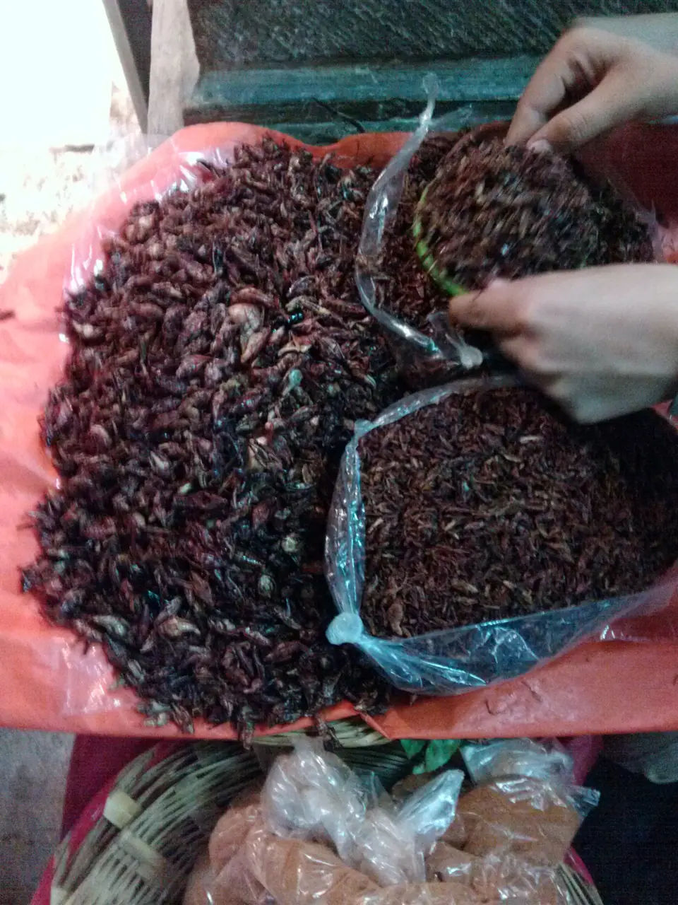 Chapulines tostados a la venta en un mercado de Oaxaca