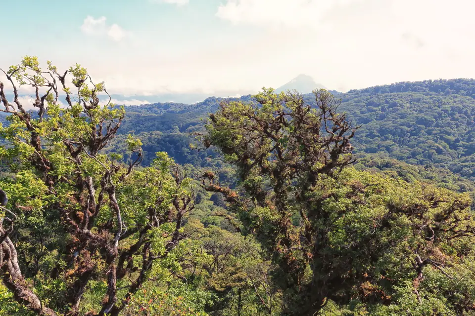 El bosque nuboso de Monteverde, en Costa Rica, visto desde un mirador con el volcán Arenal al fondo