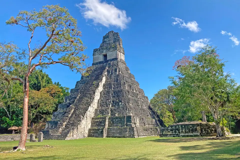 El Templo del Gran Jaguar en Tikal, Guatemala, asomando sobre la selva